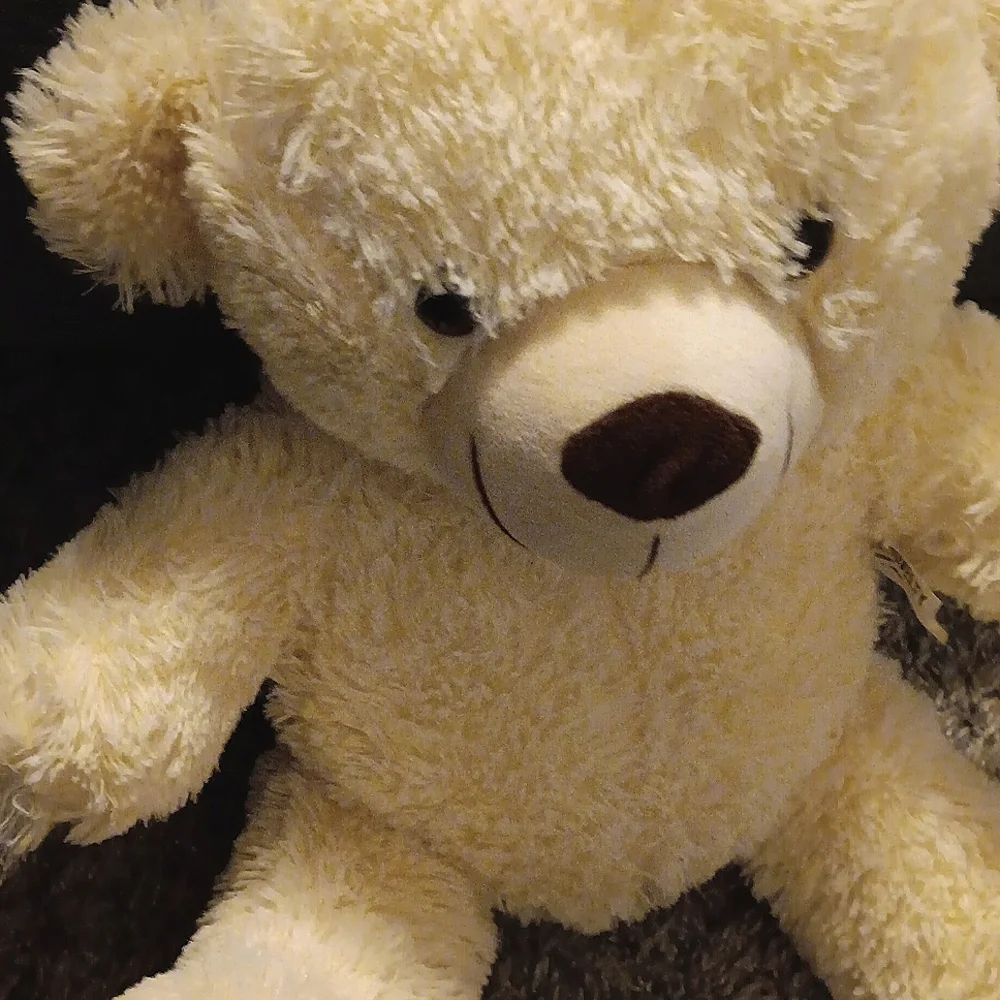 Teddy - Picture 3 of 3